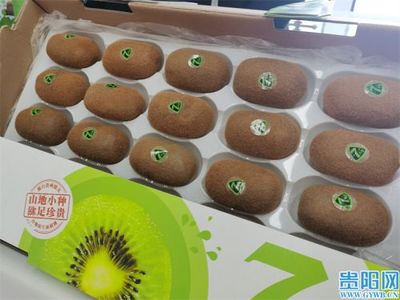 截至4月,贵阳市农产品商标1.74万个