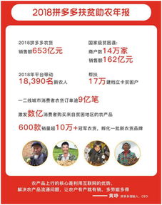 带动农业人才及科技下沉,拼多多如何创新农产品上行体系