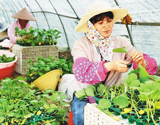 做农产品销售奠定创业基础,90后毕业生实现自己的创业梦想