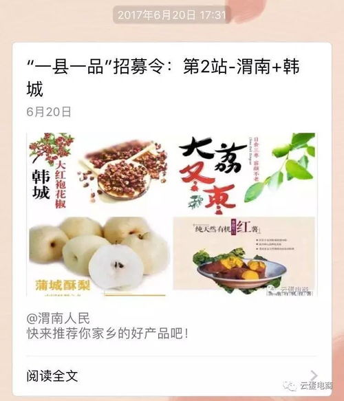西北六省农产品上行中心 揭牌, 一县一品 项目持续推进