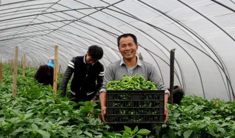 必看 2019年中央 一号文件 发布,这六大新变化 三个投资方向,将直接影响你的钱袋子