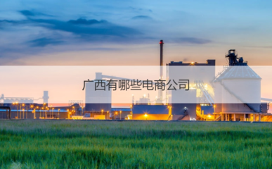 广西有哪些电商公司 电商企业业务内容