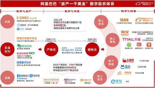 天猫双11已累计助销1406个县域的41万款农产品