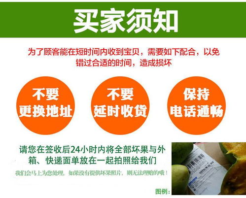 精选5斤甜菜根新鲜甜菜头红心萝卜蔬菜农产品紫菜头红甜菜红根菜包邮