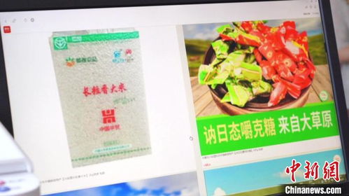 环游青年返乡创业 电商兴农开拓海内外家禽市场