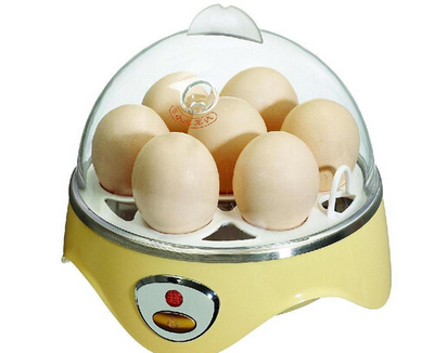 蒸蛋器使用与保养指南 实现高效便捷的厨房体验