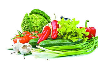 政府支持为坚强后盾，有效避免禽蛋等农产品价格大起大落