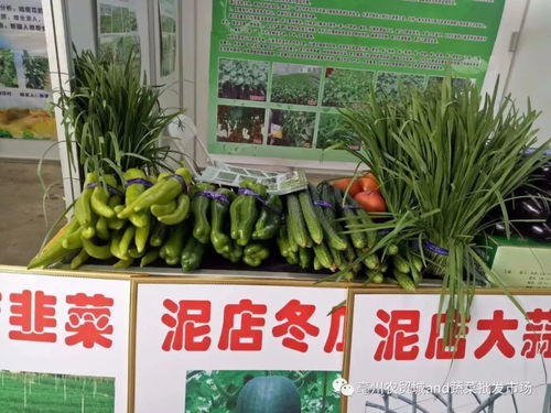 热烈祝贺2018亳州特色农产品展暨首届中国农民丰收节盛大开幕