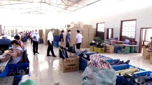 肖家堡采摘园 农产品线上销售新篇章