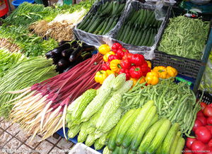 青岛气温升高菜价持续回落，家禽供应平稳价格企稳