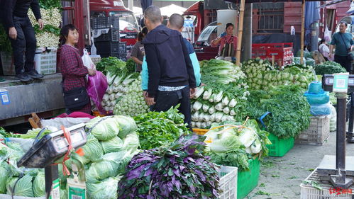 不打烊！成都全市益民菜市春节假期正常营业，网上销售初级农产品